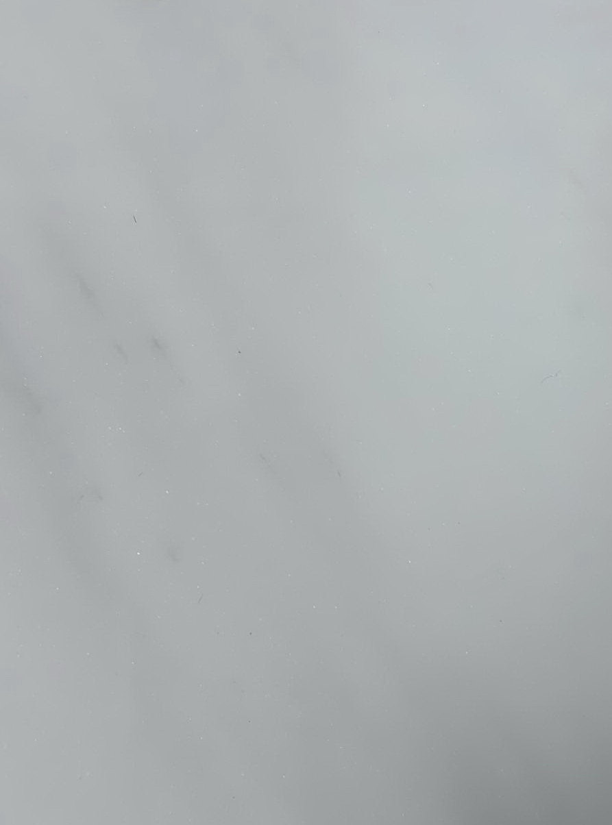 雪白銀狐