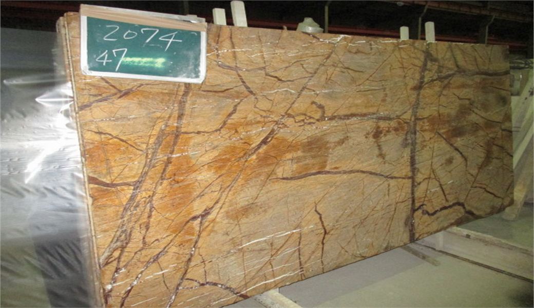 棕 棕橡木化石